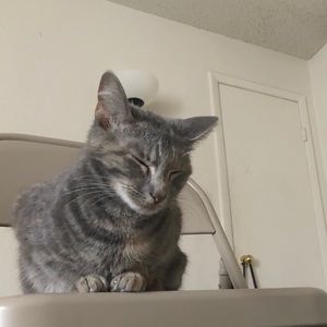 Meet your Posher, James